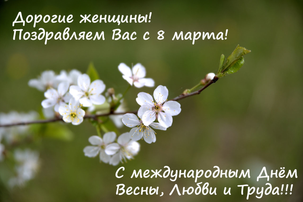 С праздником 8 марта! С международным женским Днём!/ Фото: Игорь Галиев